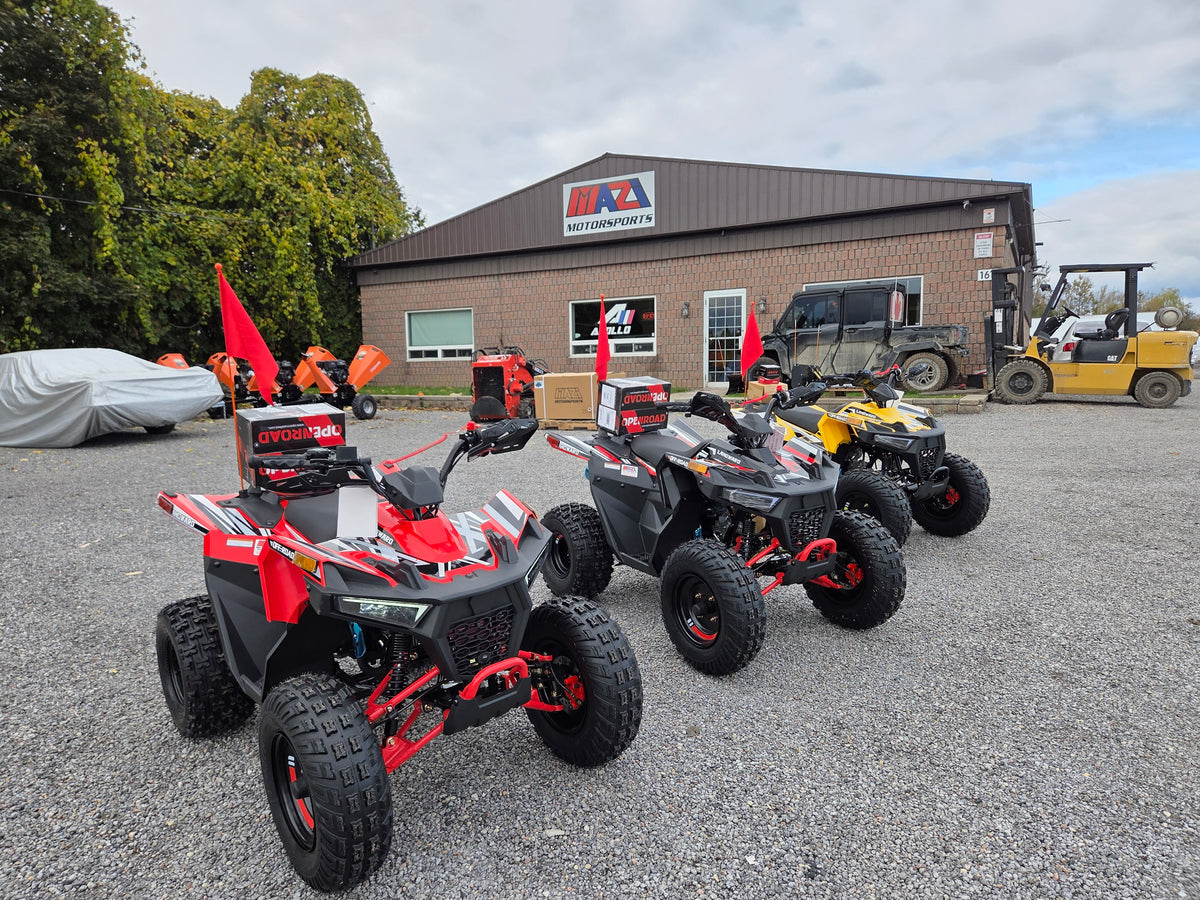 Landward 125cc kids gas ATVs in multiple colours in stock at Mazi Motors Ontario
