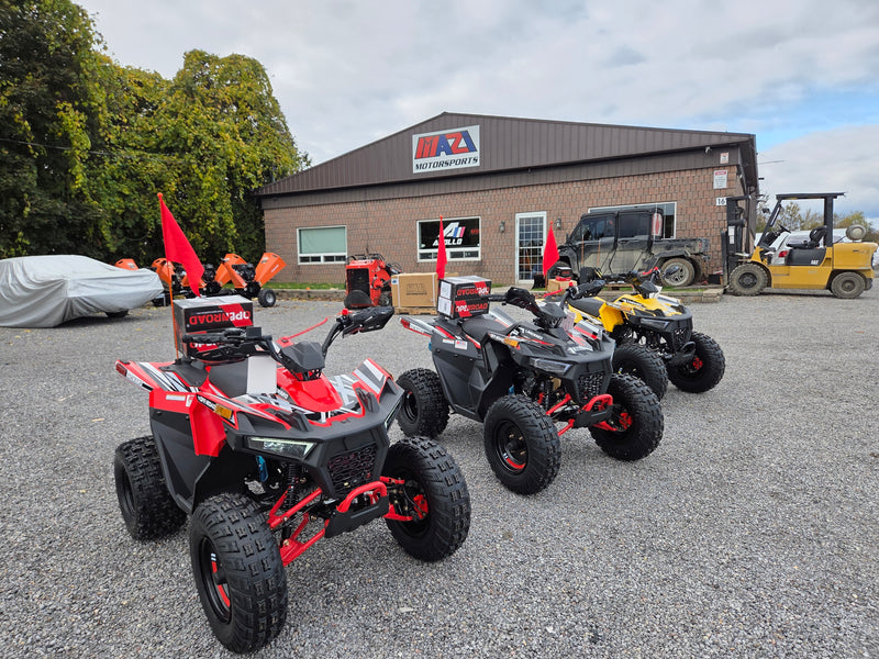 Landward 125cc kids gas ATVs in multiple colours in stock at Mazi Motors Ontario