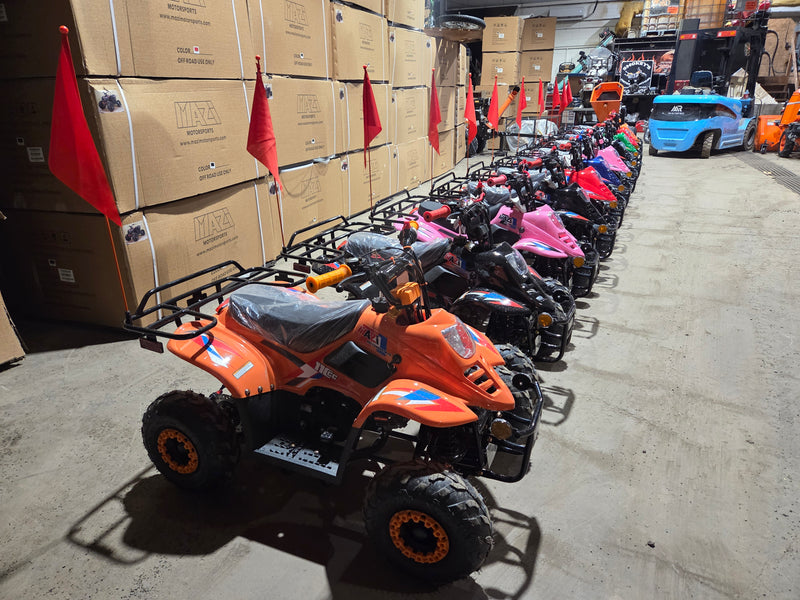 110cc Landward Trail Master kids gas ATVs in multiple colours in stock at Mazi Motors warehouse